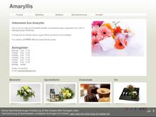 Amaryllis Blomster
